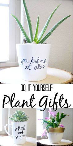 Simple DIY Plant gifts. Plant puns and pretty idea sfor potted plants. #diygift #plants #succulents #puns #gift