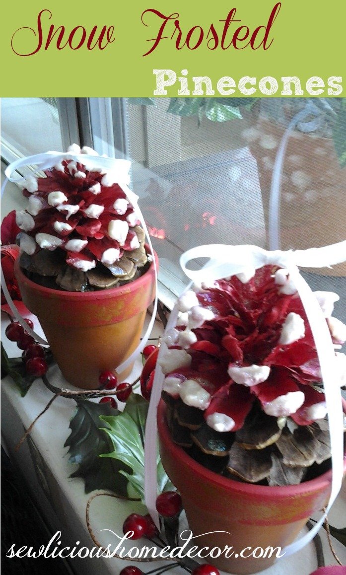 Snow Frosted Pinecones