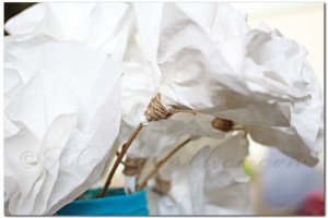 20130731_20-copy-web