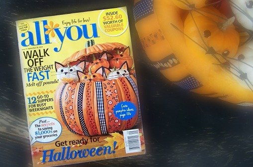 allyou pumpkin of kittens