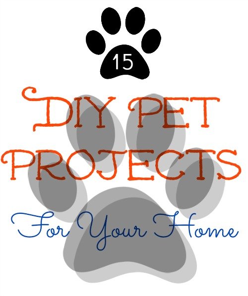 15 DIY Pet Projects Beds and Recipes sewlicioushomedecor.com