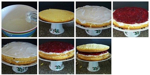 lemon cranberry cake tutorial
