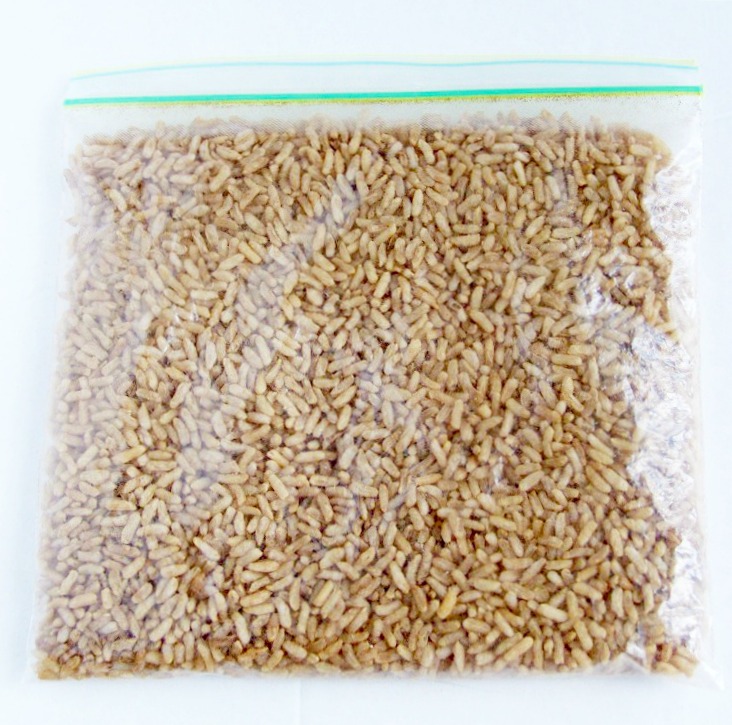 rice