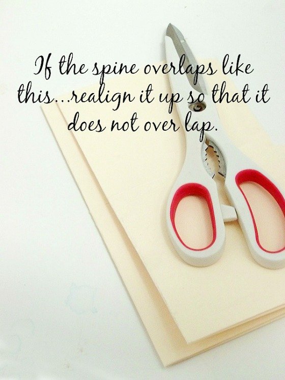 Spine