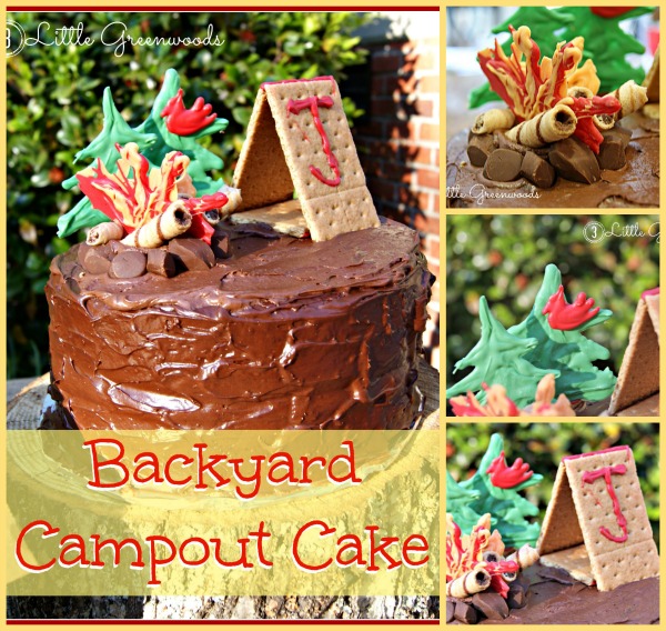 Backyard Campout Birthday Cake by 3 Little Greenwoods