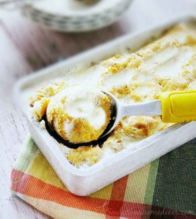 Pumpkin Ice Cream and Cake