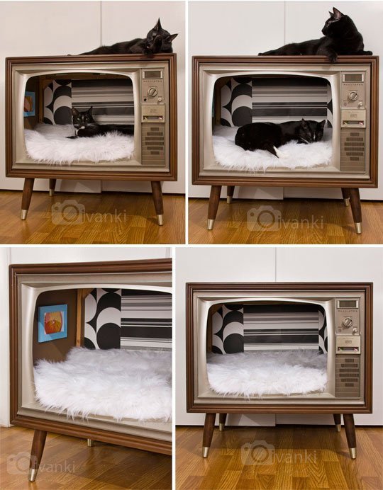 Recycled tv to cat bed