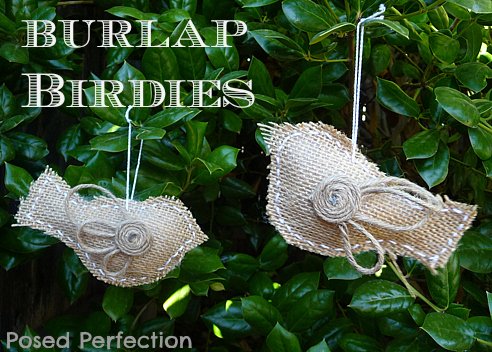 Burlap Birdies