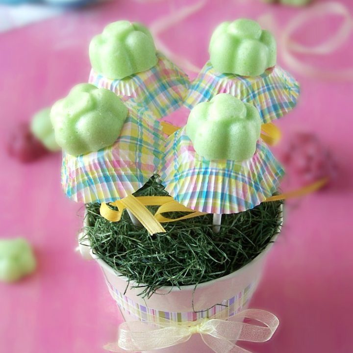 Mother’s Day Bouquet Coconut Sugar Soap Scrub Bars