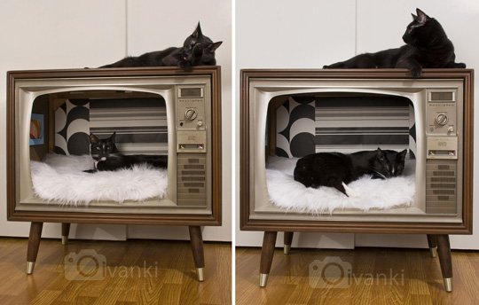 TV_CatBed3