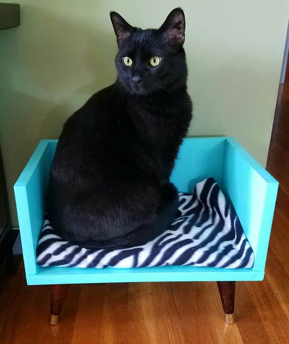 cat bed recycled