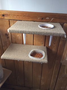 cat bed shelves