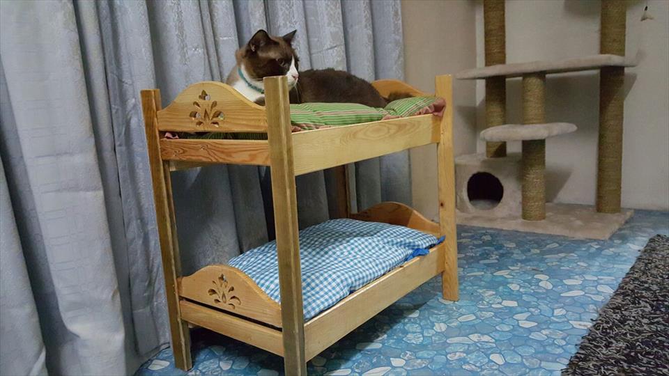 diy-pallet-cat-bunk-bed