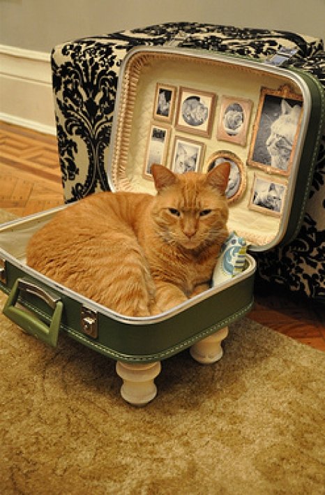 moderncat_diy_suitcase_catbed_3_0