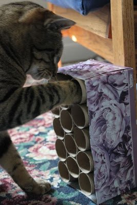 recycled cat toy